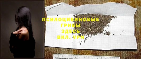 твердый Вязники
