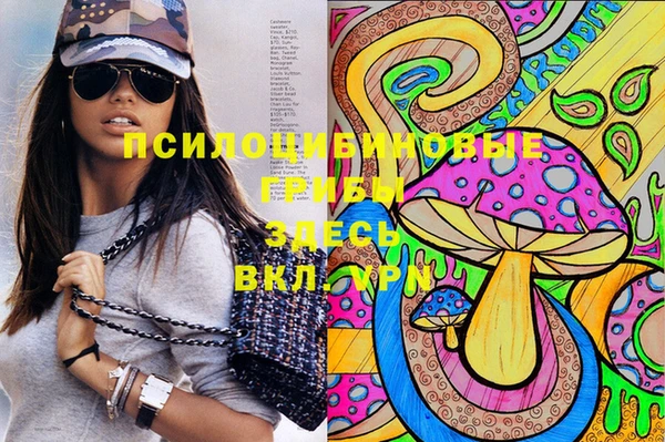 спайс Абаза