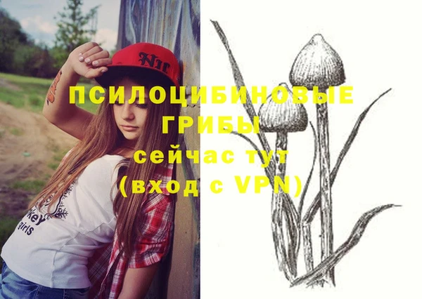 ALPHA PVP Абинск